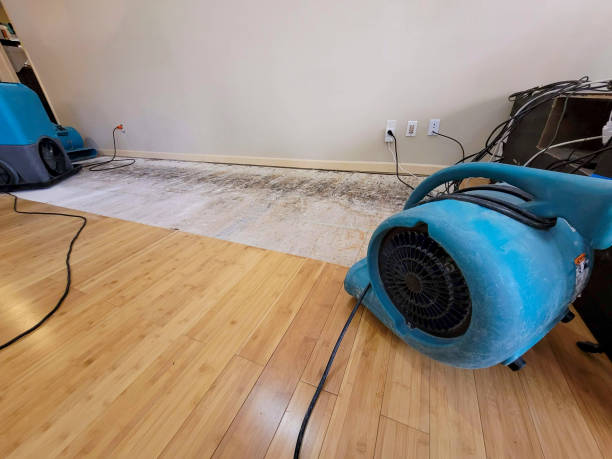 Professional Flood Damage Cleanup technician working in Warminster, PA
